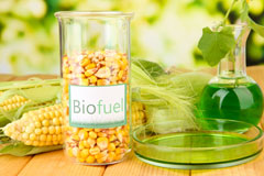 Pyworthy biofuel availability